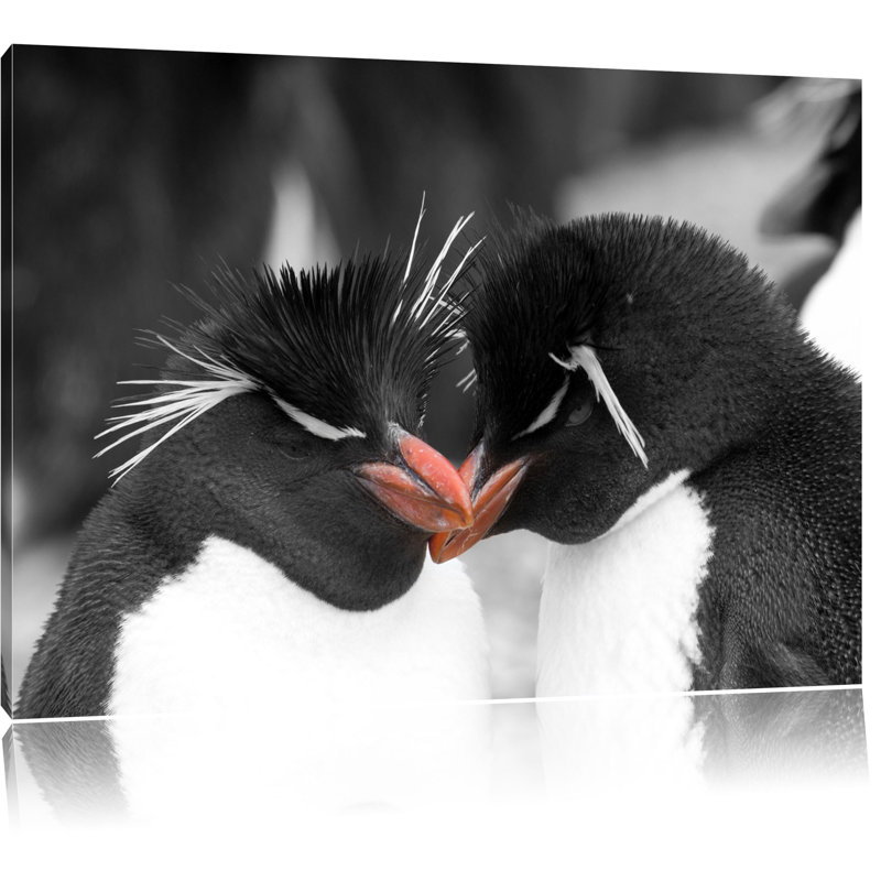 East Urban Home Leinwandbild Pinguine kuscheln | Wayfair.de